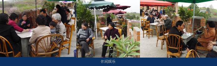 1472005356255824.jpg 1.JPG